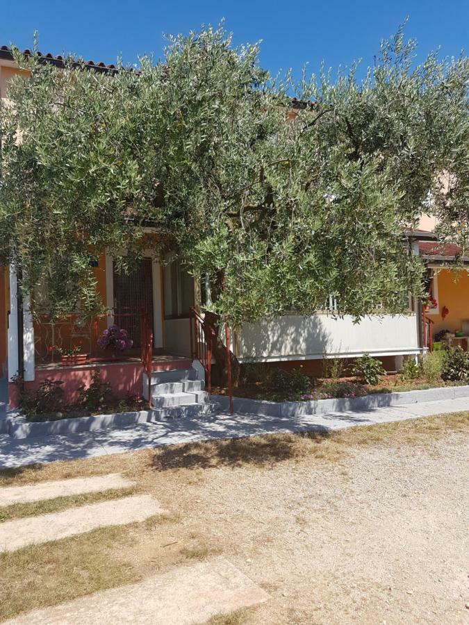 Apartman Dea Crveni Vrh Exterior photo